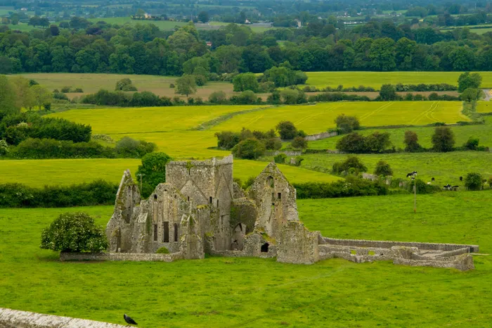 Hore Abbey Ruins